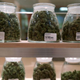 Image for article titled 5 States To Decide Whether To Legalize Marijuana Or Continue Honoring God
